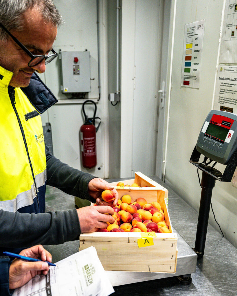 distributeur légumes bio service agréage