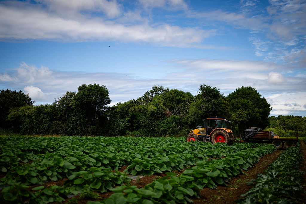 fournisseur légumes bio Poder collaborations