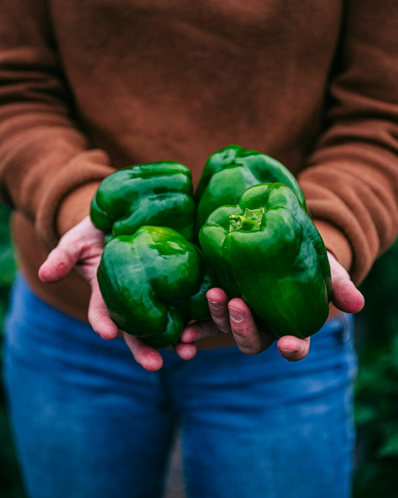 fournisseur légumes bio Poder engagements